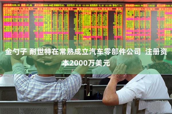 金勺子 耐世特在常熟成立汽车零部件公司  注册资本2000万美元