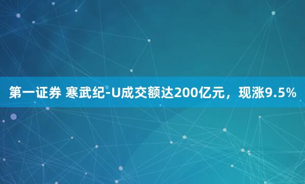 第一证券 寒武纪-U成交额达200亿元，现涨9.5%