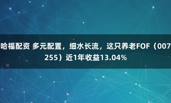 哈福配资 多元配置，细水长流，这只养老FOF（007255）近1年收益13.04%