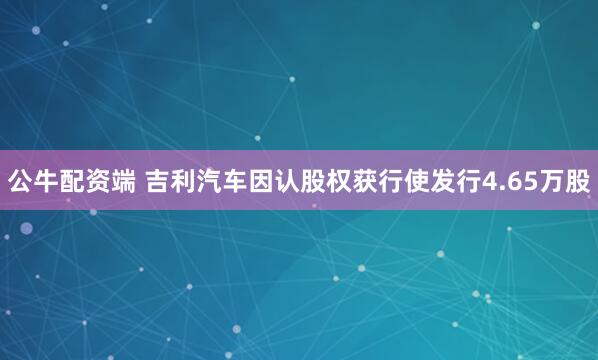 公牛配资端 吉利汽车因认股权获行使发行4.65万股
