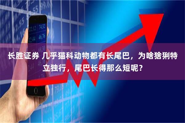 长胜证券 几乎猫科动物都有长尾巴，为啥猞猁特立独行，尾巴长得那么短呢？