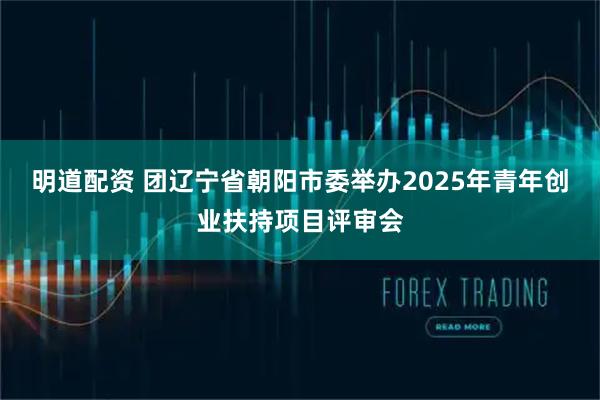 明道配资 团辽宁省朝阳市委举办2025年青年创业扶持项目评审会